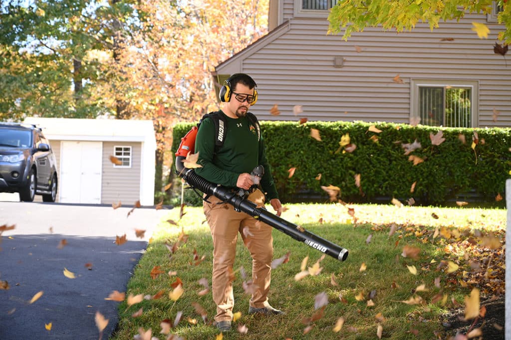 turf ranger leaf blowing