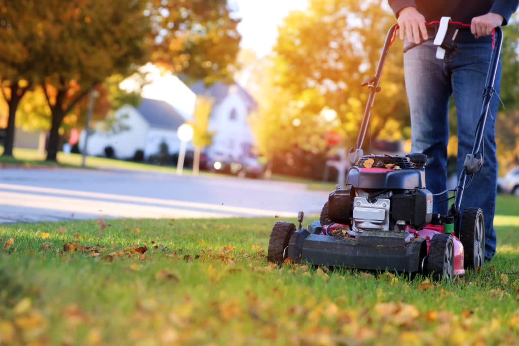 lawn clean up near me